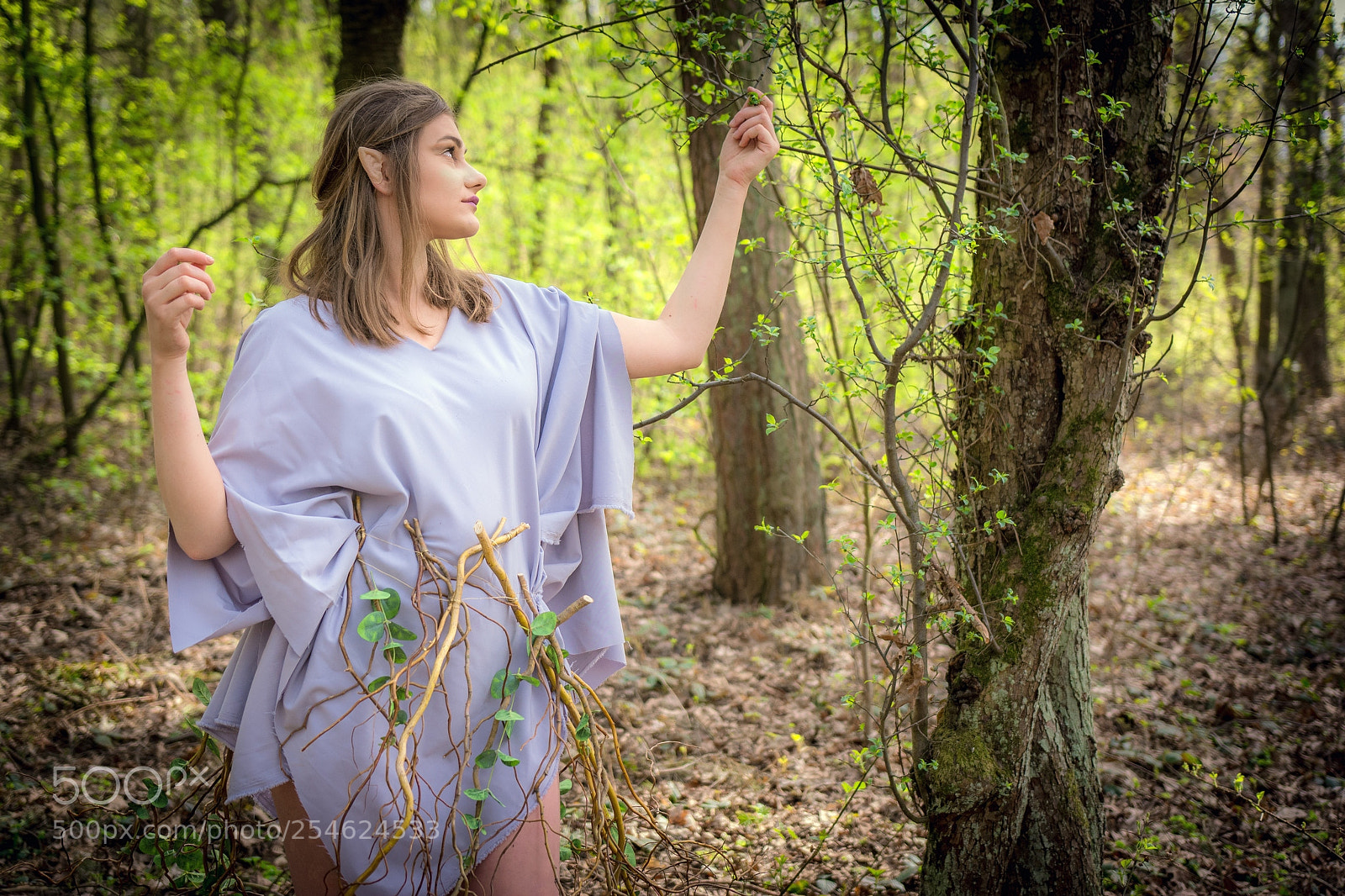 Nikon D7100 sample photo. Elf and magic tree photography