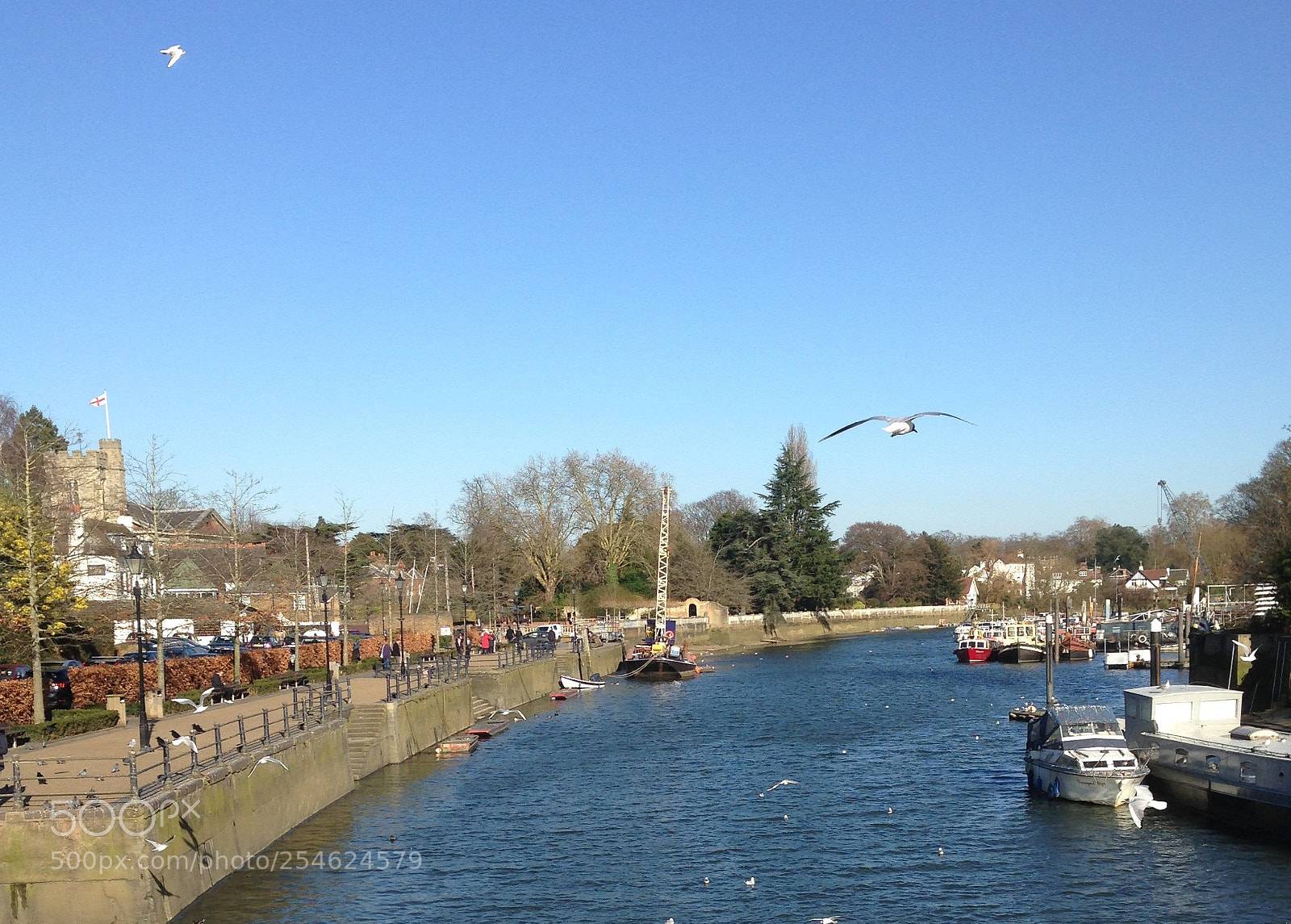 Apple iPhone 5c sample photo. Twickenham riverside photography