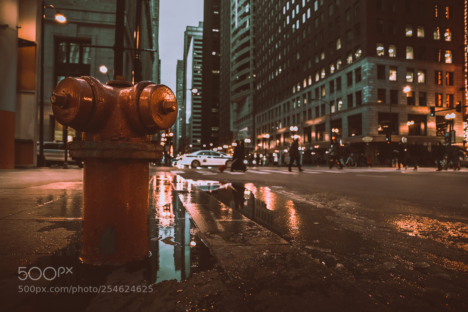 Canon EOS 6D Mark II sample photo. A new perspective photography