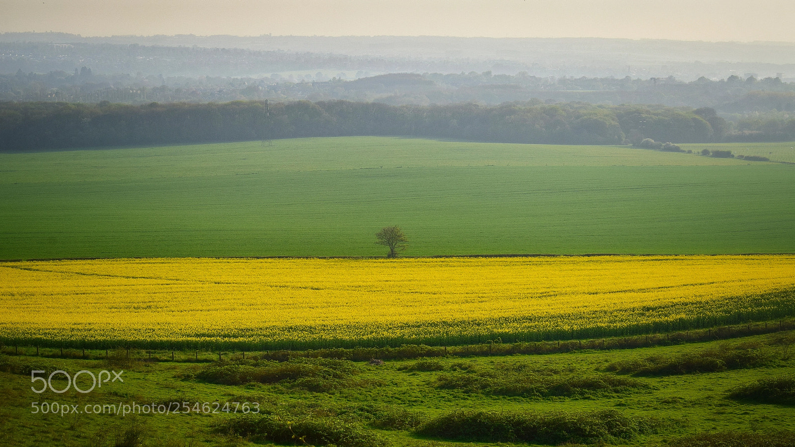 Nikon D5300 sample photo. To stand alone photography