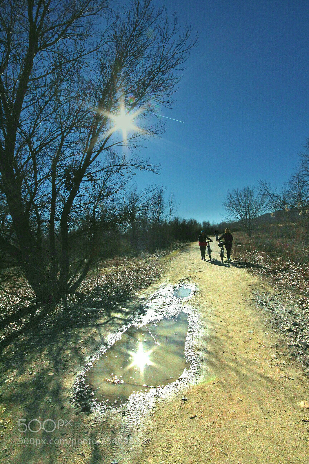 Canon EOS 700D (EOS Rebel T5i / EOS Kiss X7i) sample photo. Bonito camino. photography