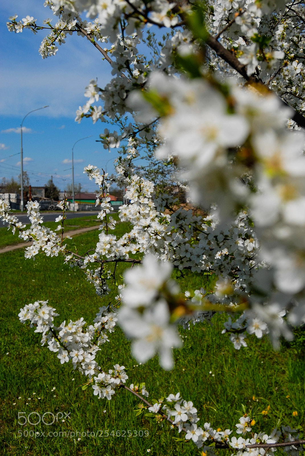 Nikon D200 sample photo. Untitled photography