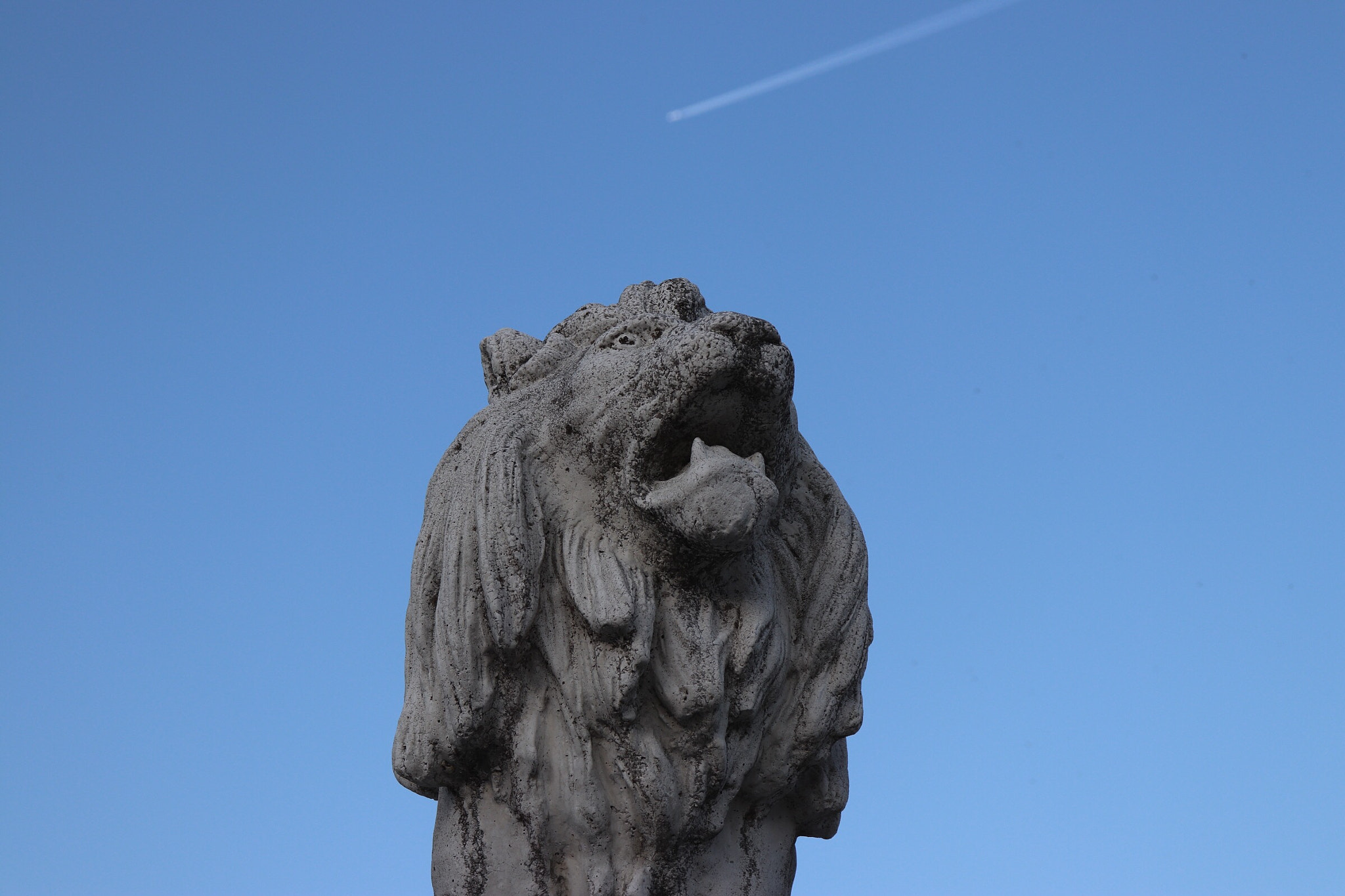 Canon EOS 200D (EOS Rebel SL2 / EOS Kiss X9) sample photo. Lion photography