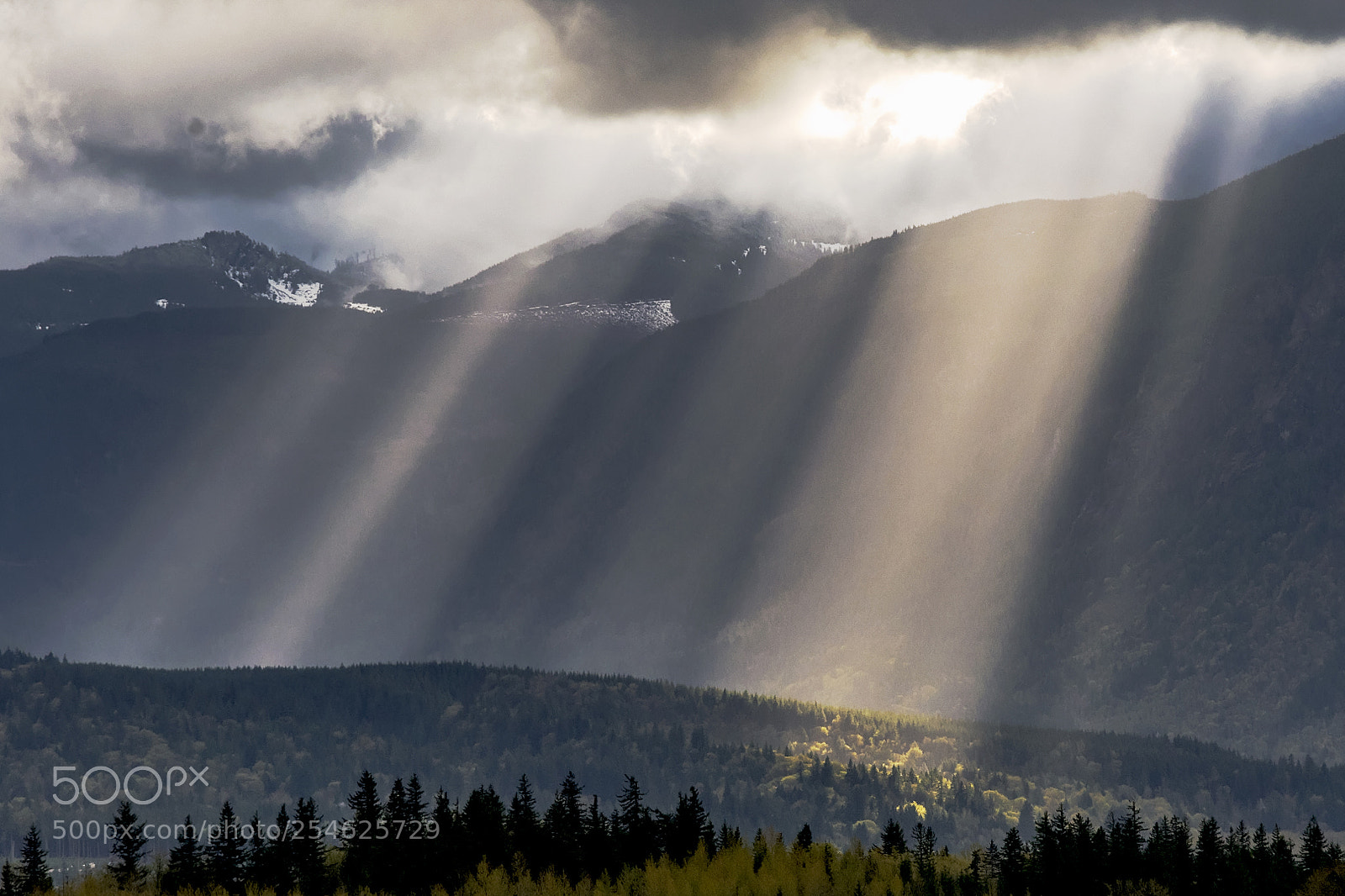 Nikon D850 sample photo. Beams photography