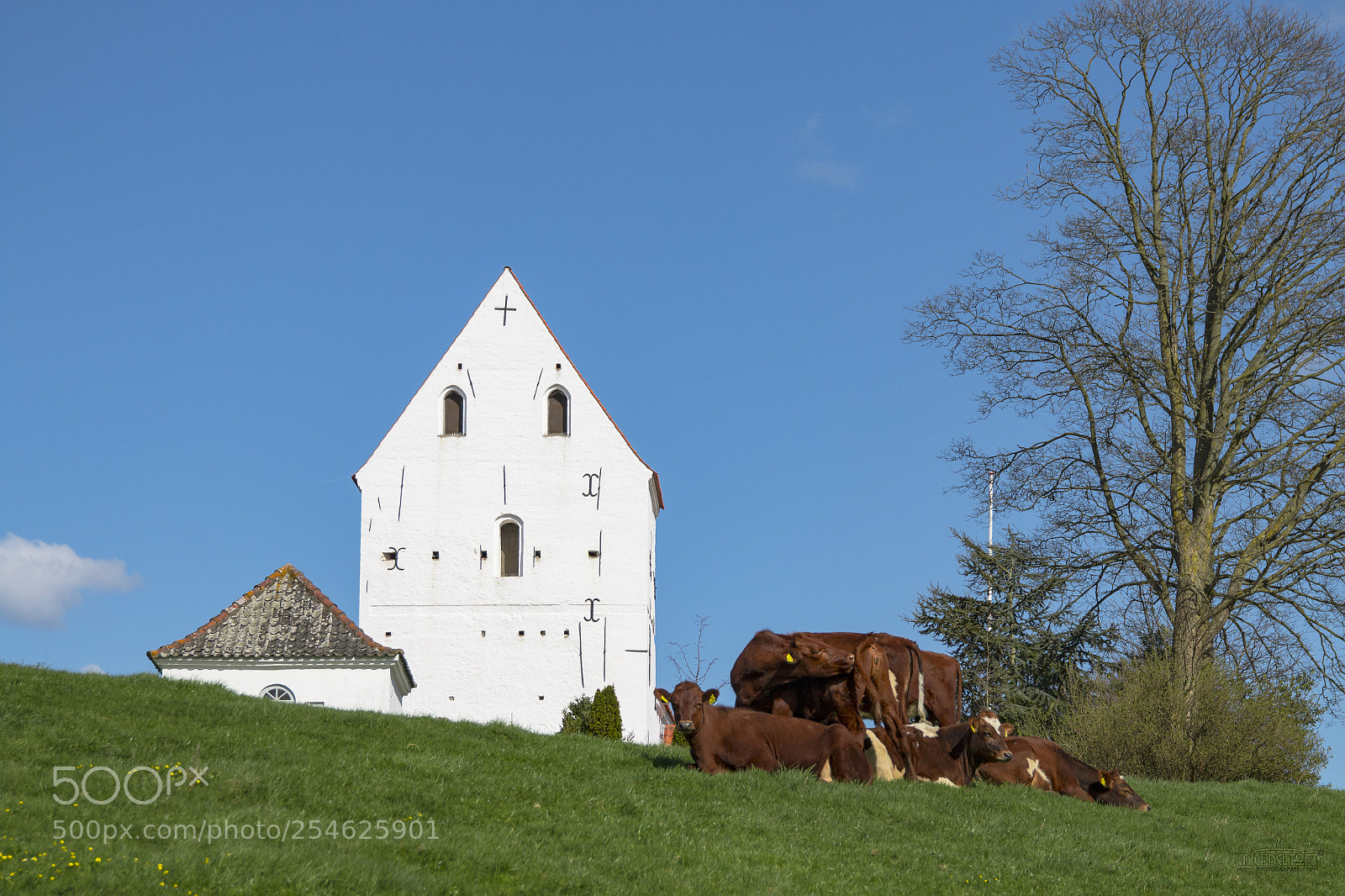 Canon EOS 70D sample photo. Spring in denmark. egeskov photography