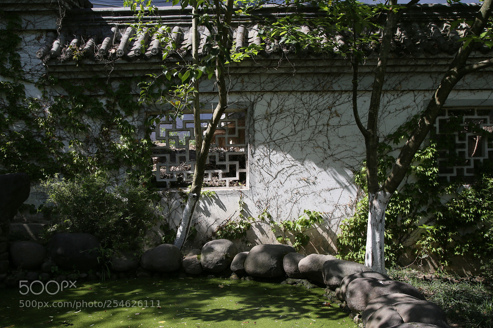 Canon EOS 6D + Canon EF 24-105mm F4L IS USM sample photo. Untitled photography