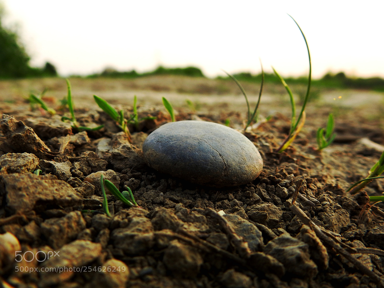 Nikon Coolpix P900 sample photo. Stone in his natural photography