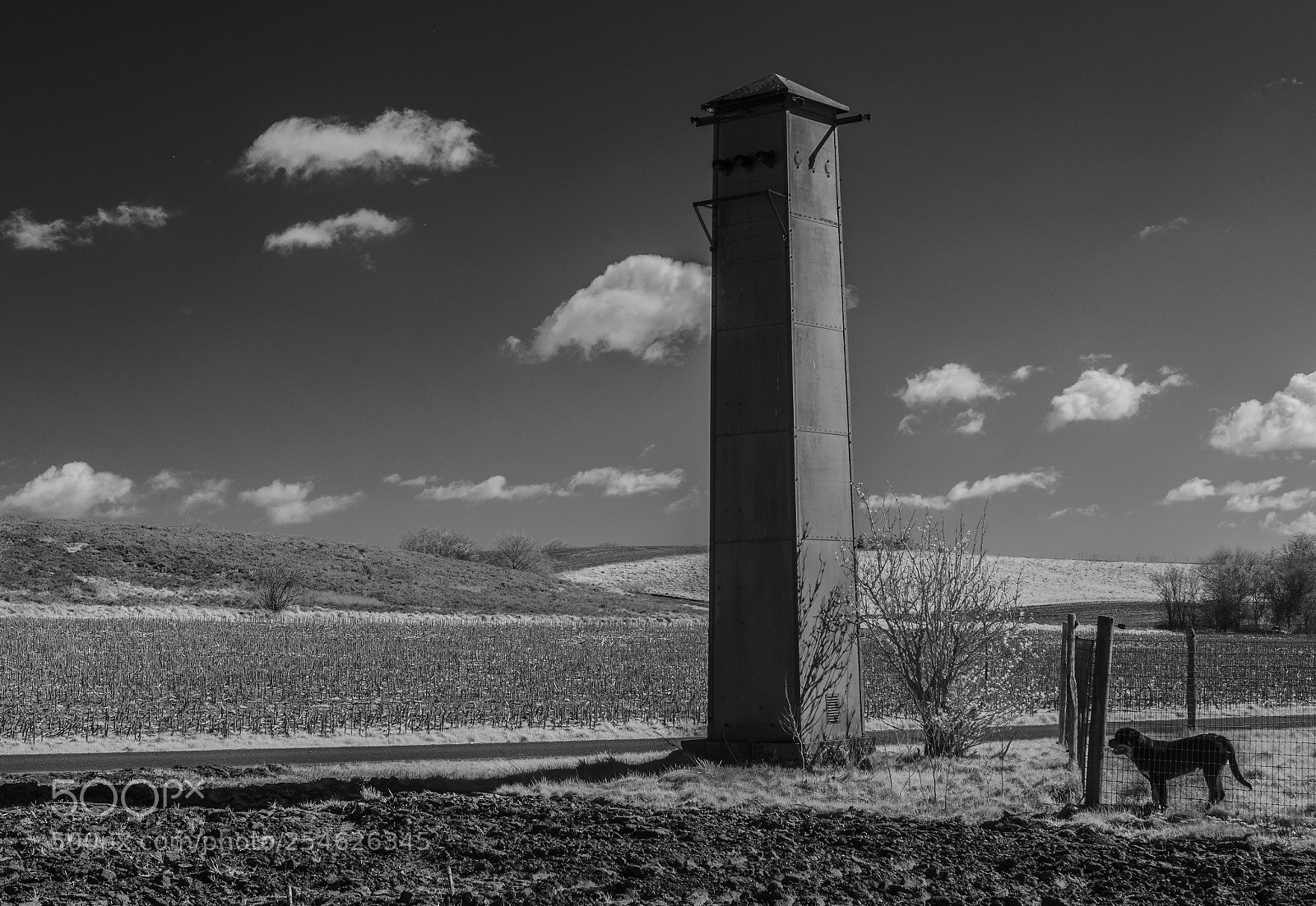 Nikon D7000 sample photo. Transformer tower (ir) photography