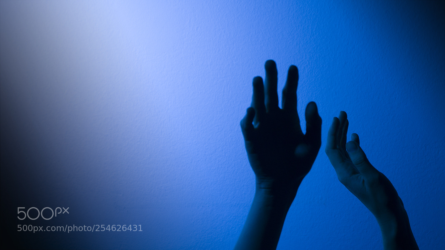 Canon EOS 70D sample photo. Blue-red photography