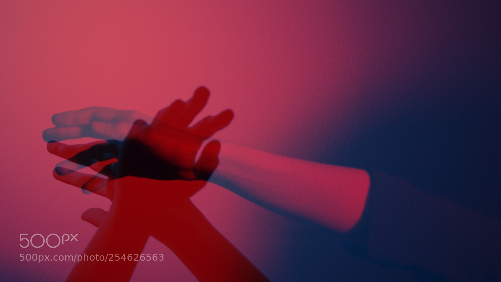 Canon EOS 70D sample photo. Blue-red photography