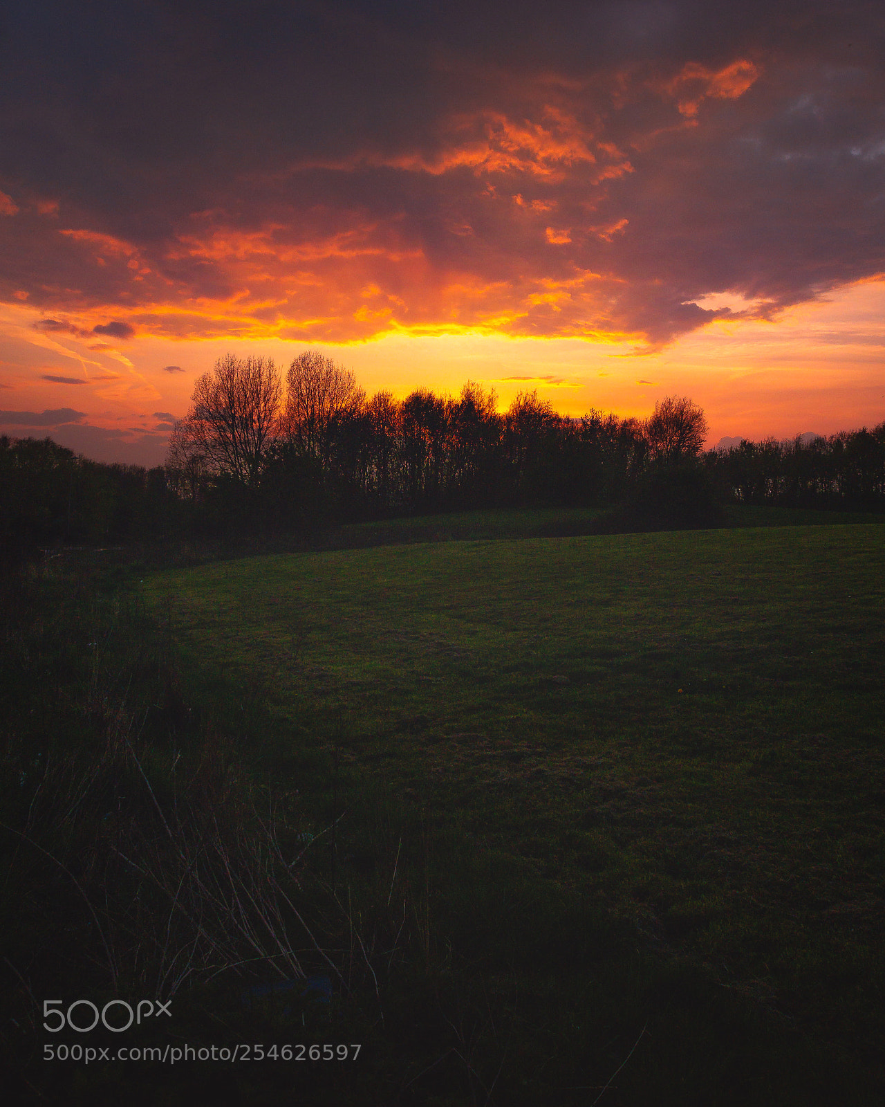 Olympus OM-D E-M5 sample photo. Tonight's sunset photography