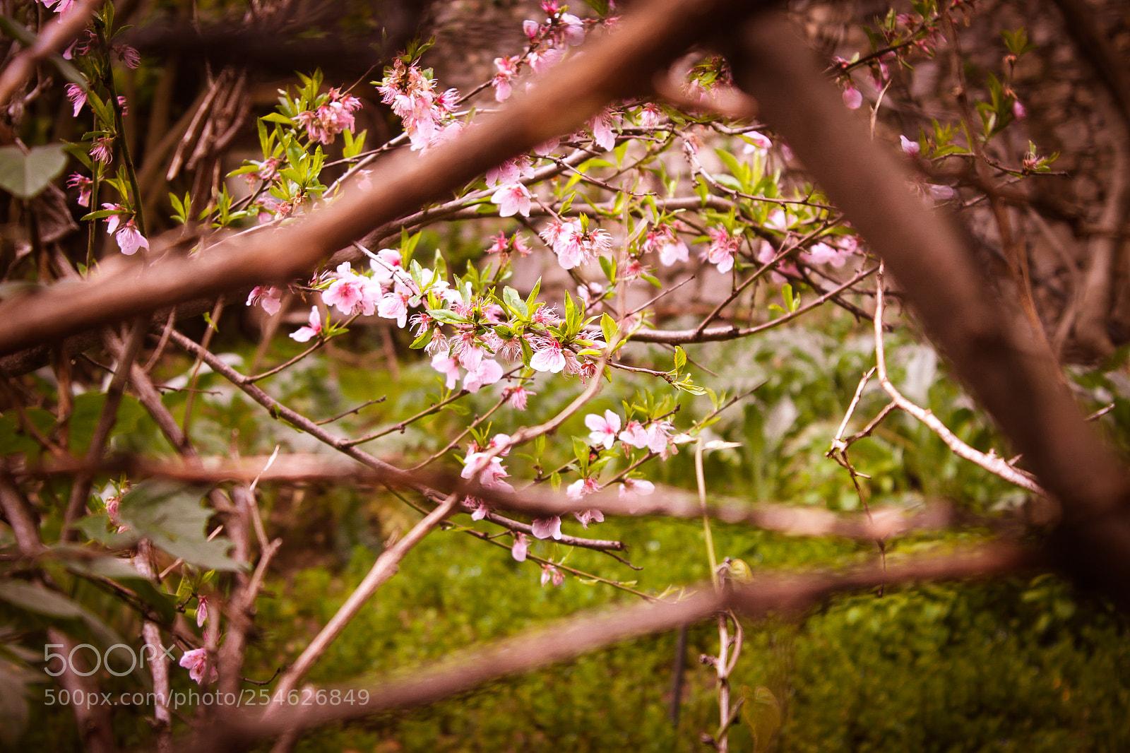 Canon EOS 500D (EOS Rebel T1i / EOS Kiss X3) sample photo. Behind the scene photography
