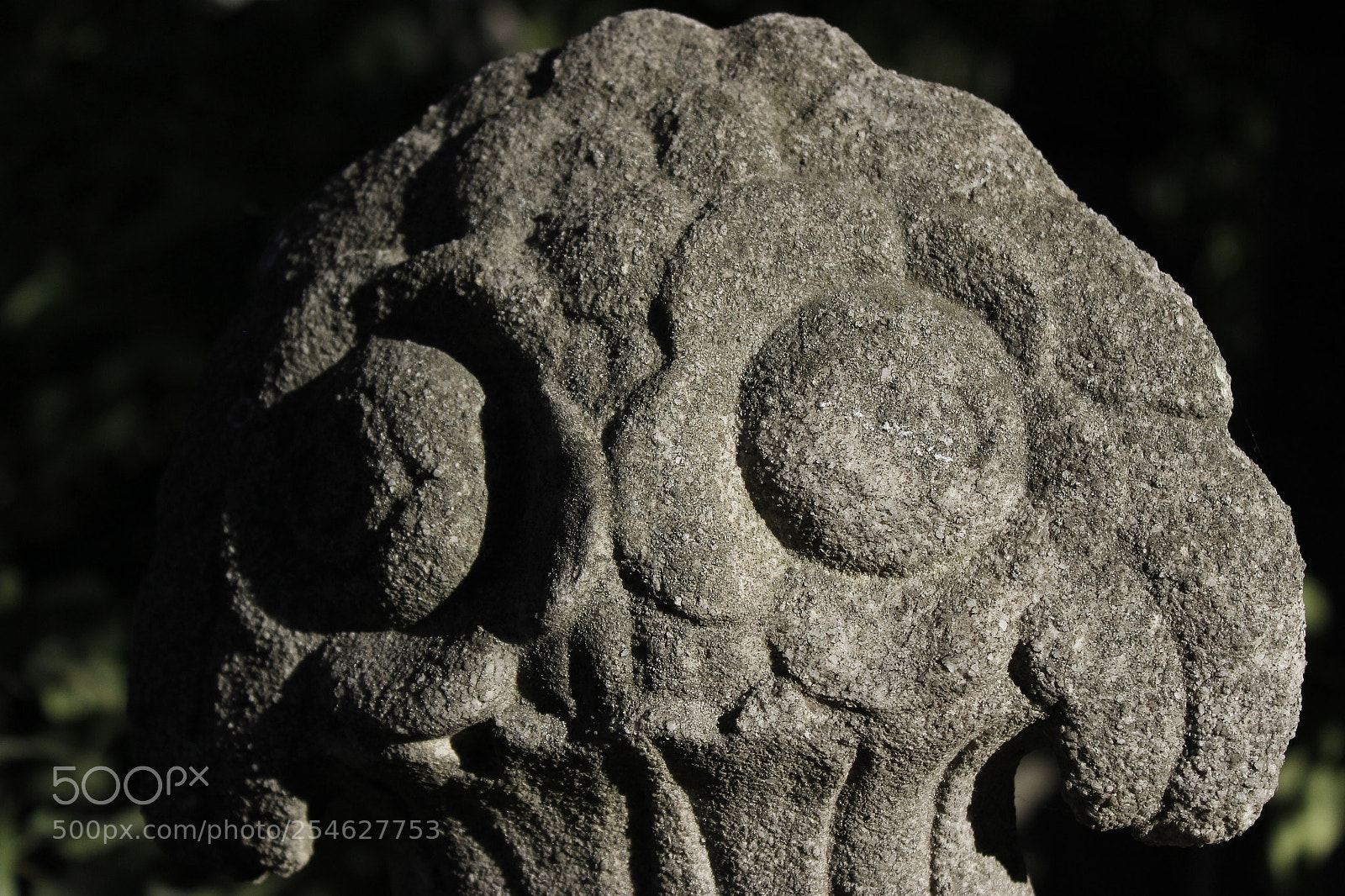 Canon EOS 600D (Rebel EOS T3i / EOS Kiss X5) sample photo. Mg photography