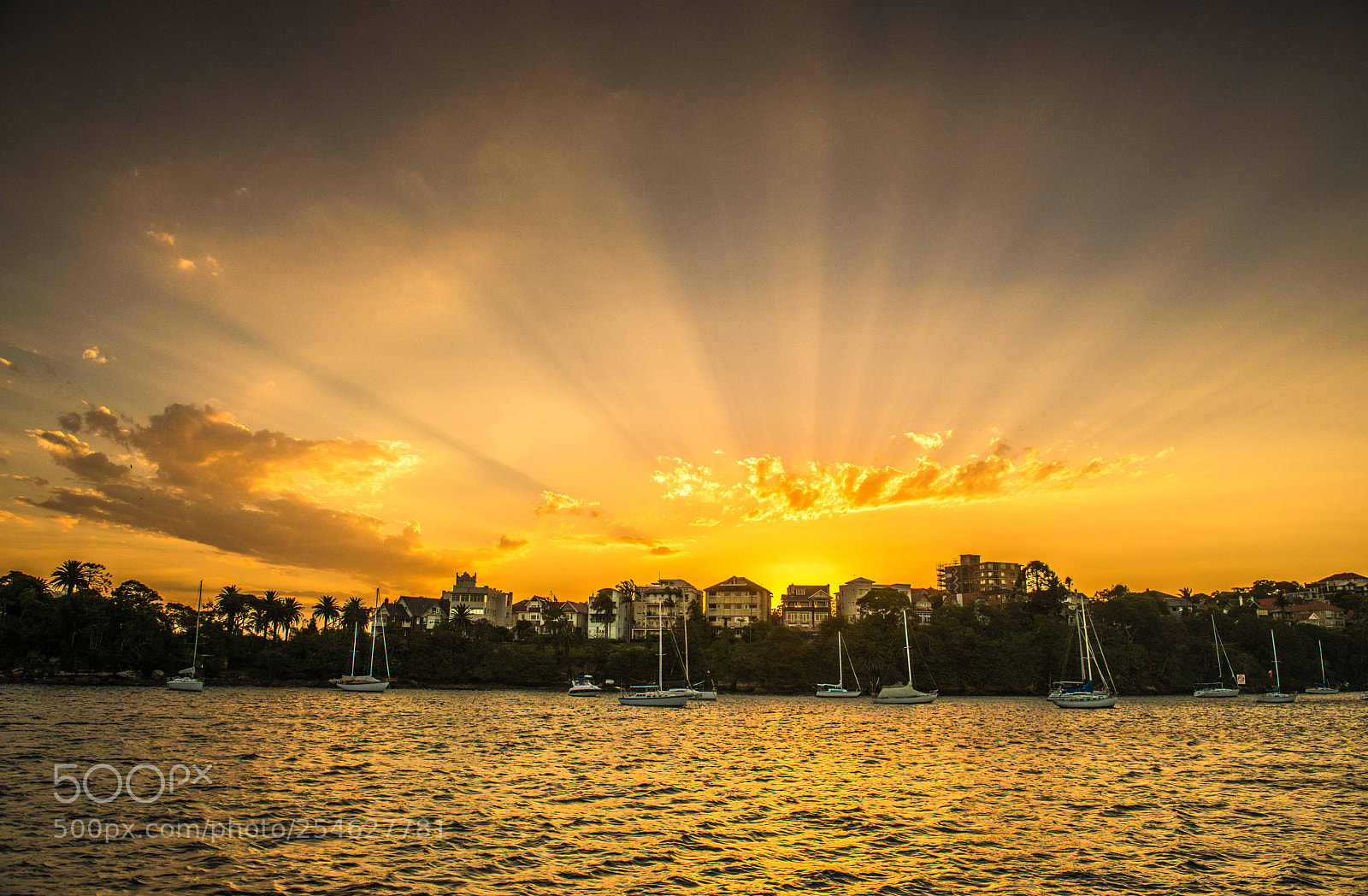 Nikon D800 sample photo. Syl photography