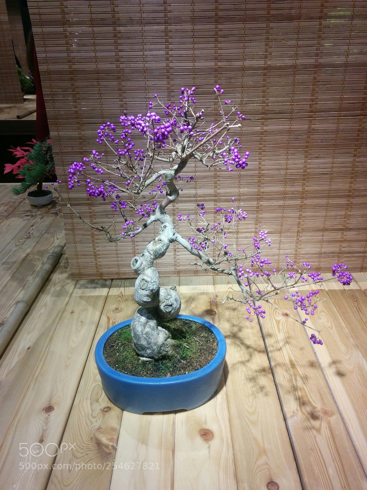 LG Nexus 5 sample photo. Img_20151104_164808.jpg photography
