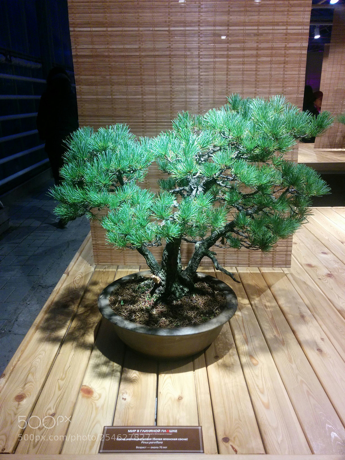 LG Nexus 5 sample photo. Img_20151104_165151.jpg photography