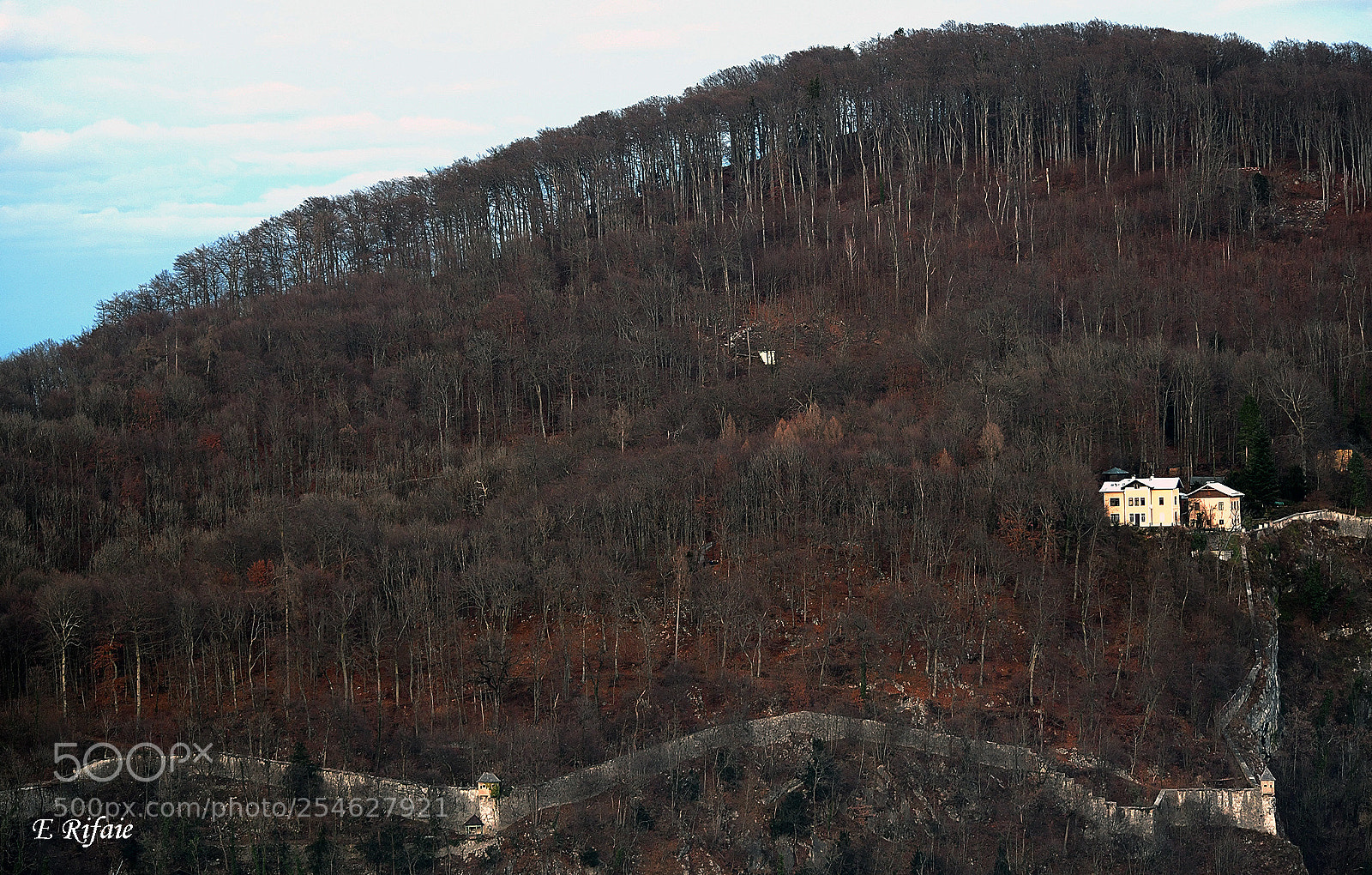 Nikon D7500 sample photo. Salzburg mountain trees photography