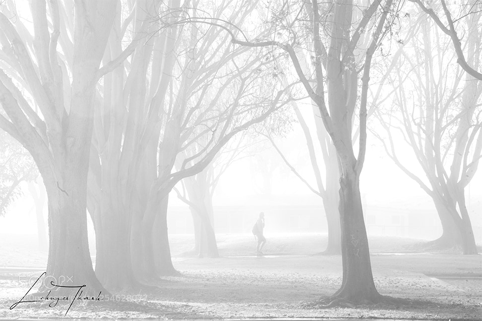 Nikon D800E sample photo. Fog photography