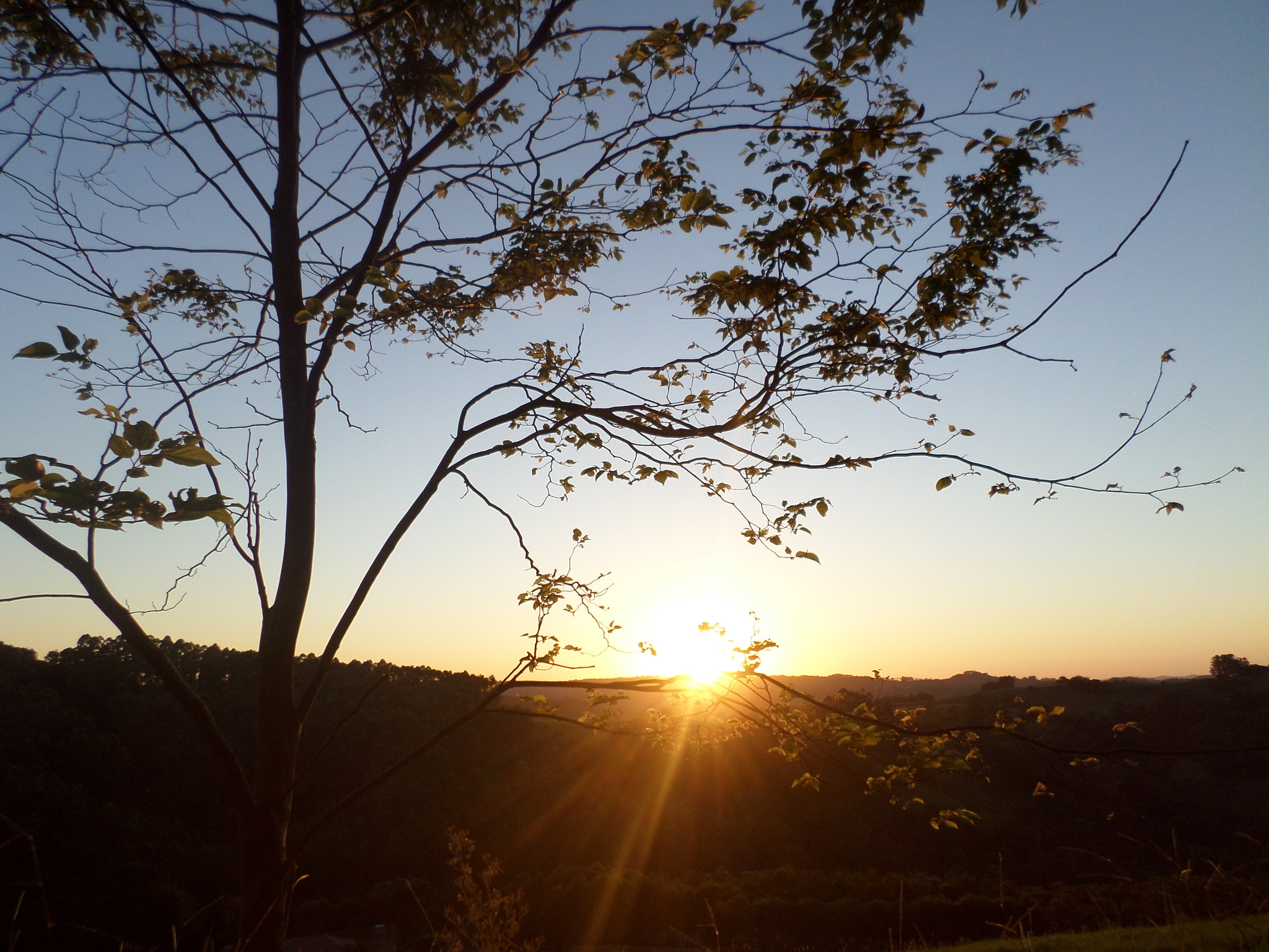 Samsung ST2014F sample photo. Nascer do sol photography