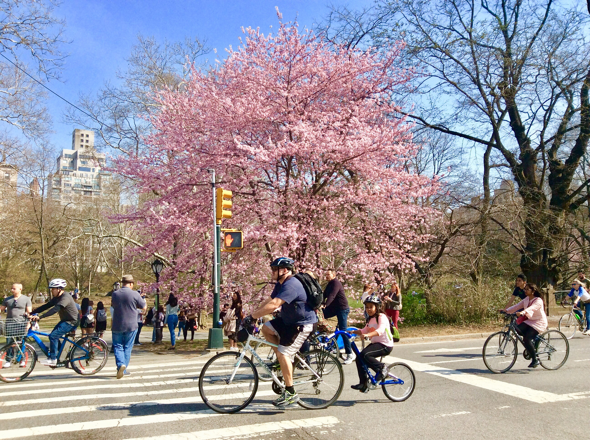Apple iPad mini 2 sample photo. Biking in ny photography
