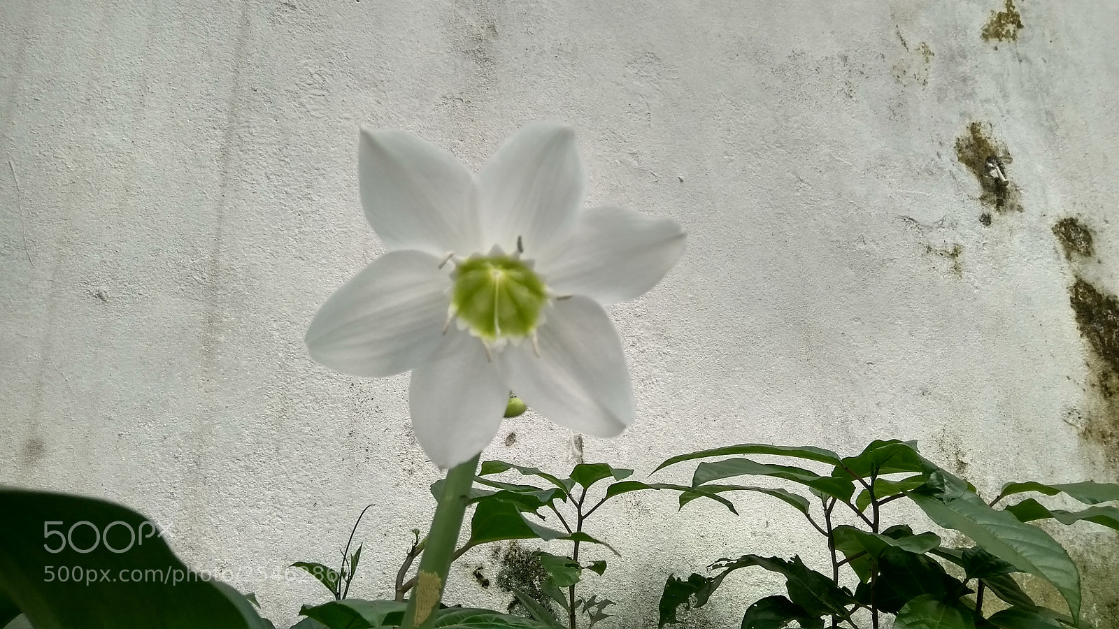 Xiaomi Redmi 4A sample photo. Untitled photography