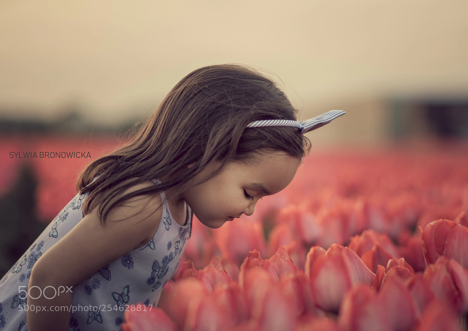 Nikon D5500 sample photo. Small girl - tulips photography