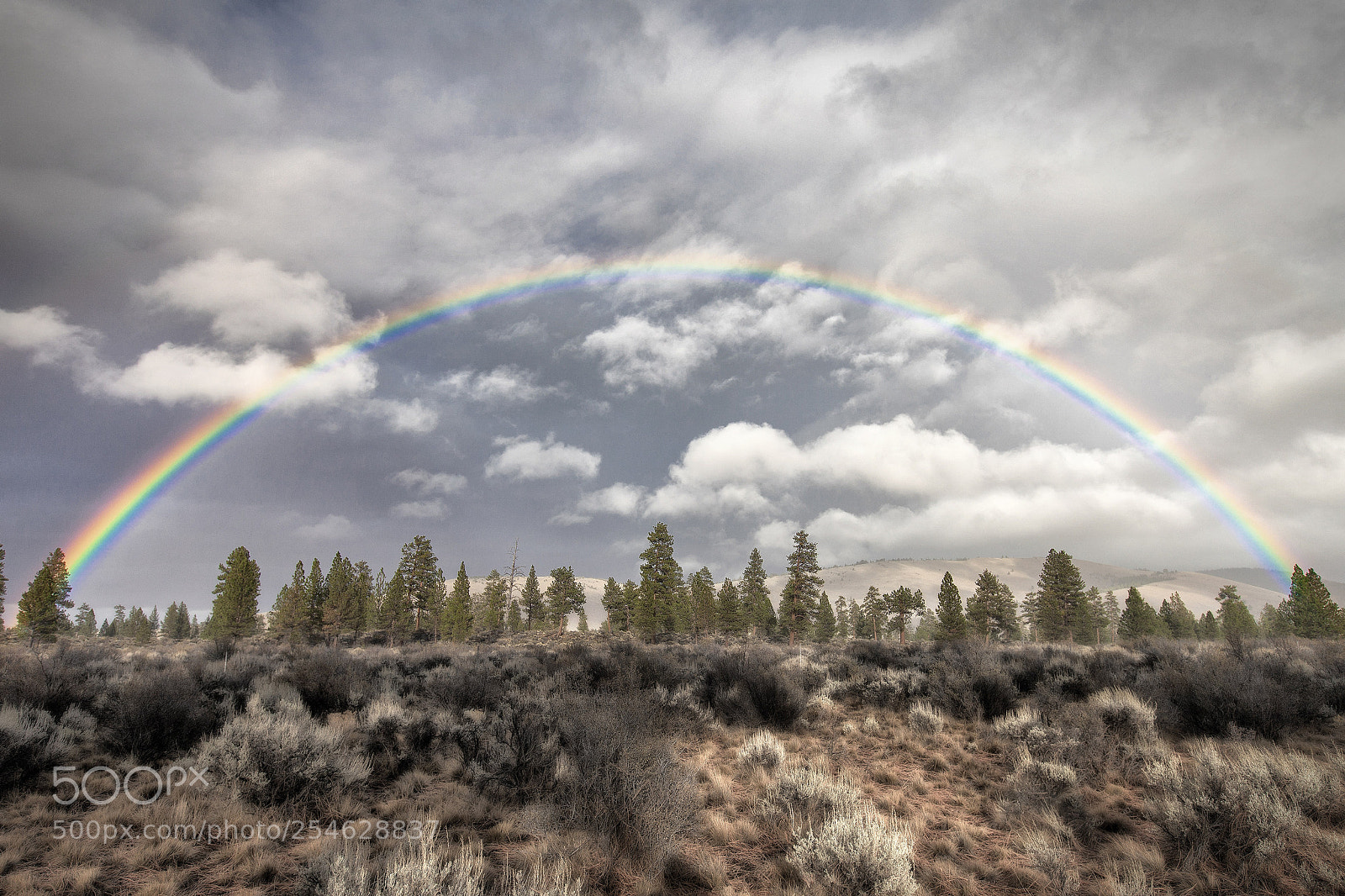Canon EOS 5D Mark II sample photo. Rainbow over pine mountain photography