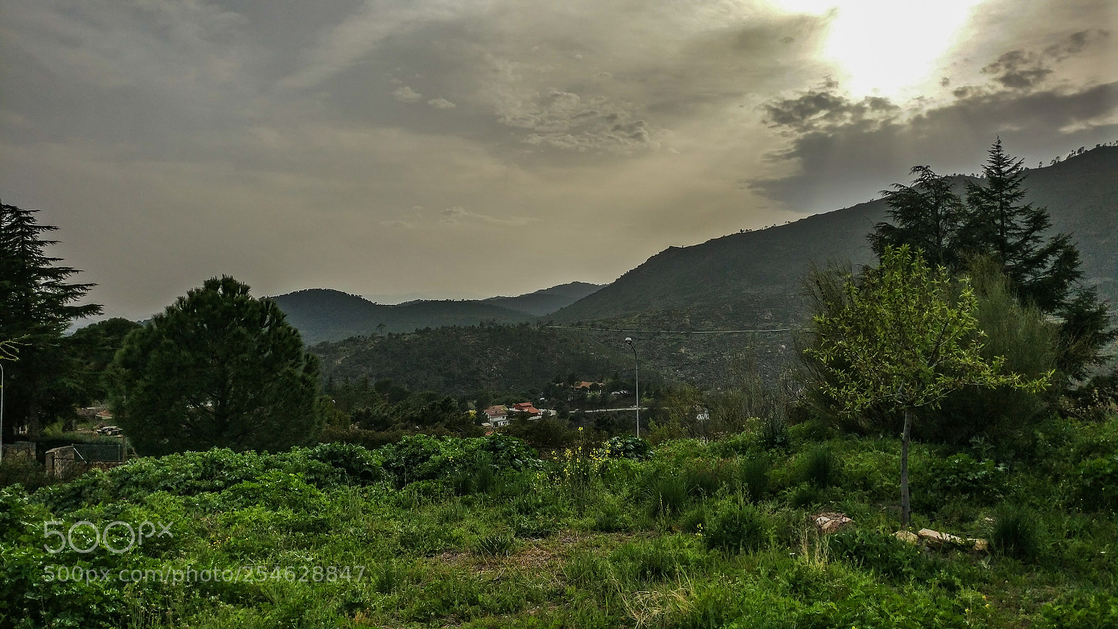 OnePlus A3003 sample photo. Untitled photography