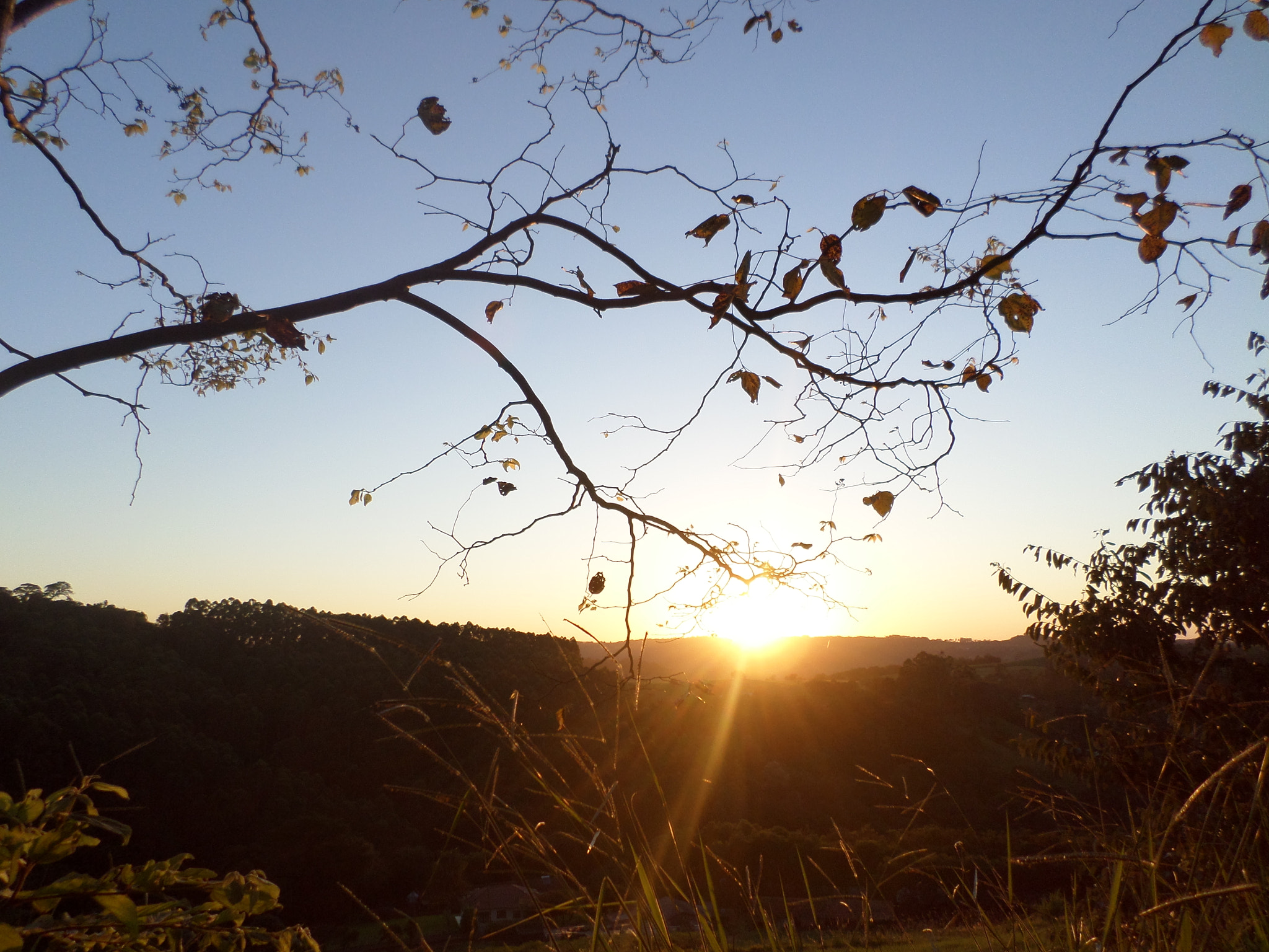 Samsung ST2014F sample photo