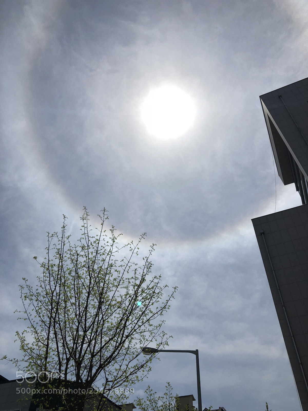Apple iPhone X sample photo. Circular rainbow photography