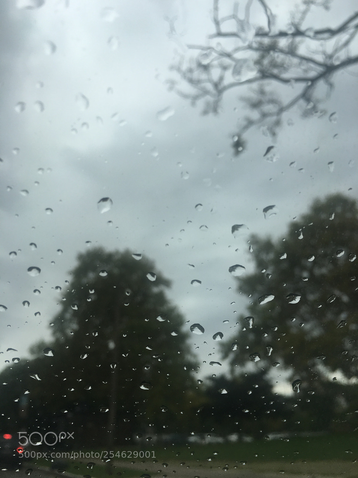 Apple iPhone 6s sample photo. Untitled photography