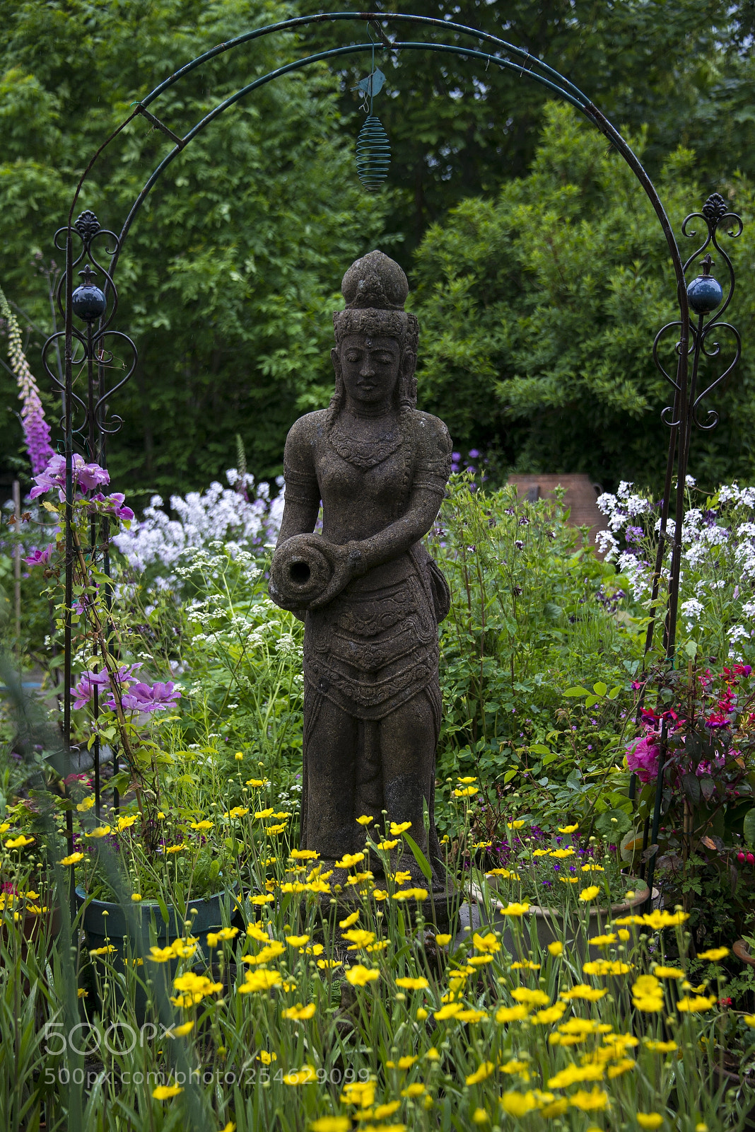Nikon D800E sample photo. The buddha in ireland photography