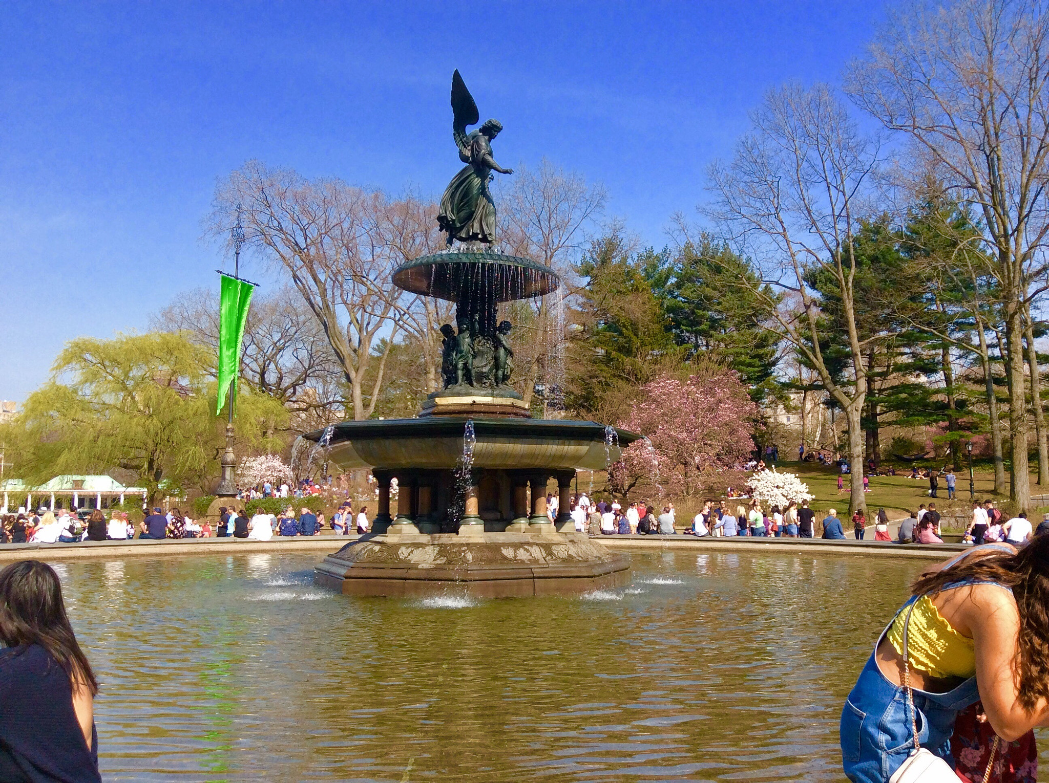Apple iPad mini 2 sample photo. Central park photography