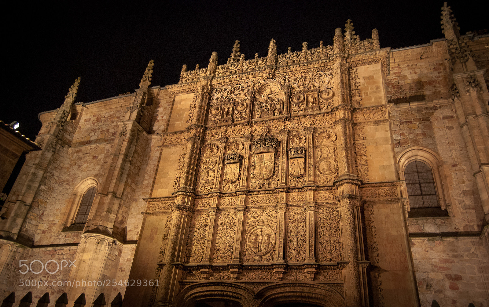 Nikon D60 sample photo. Salamanca photography