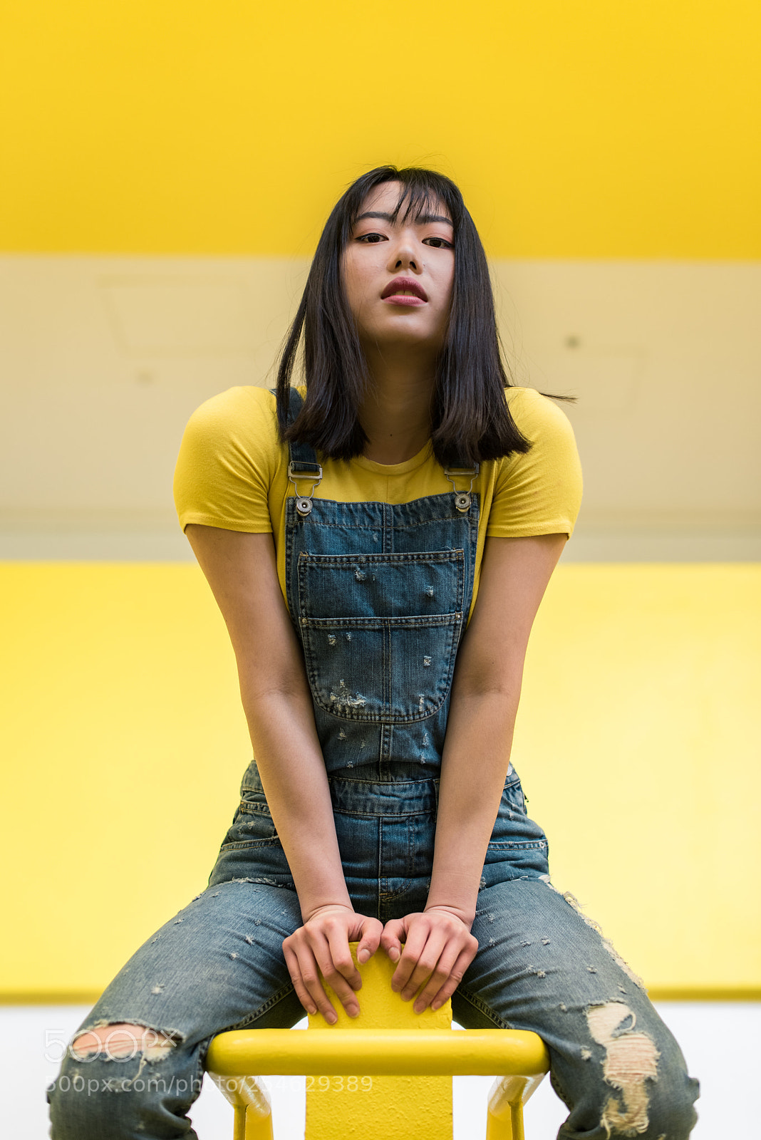 Nikon D810 sample photo. Yellow. photography