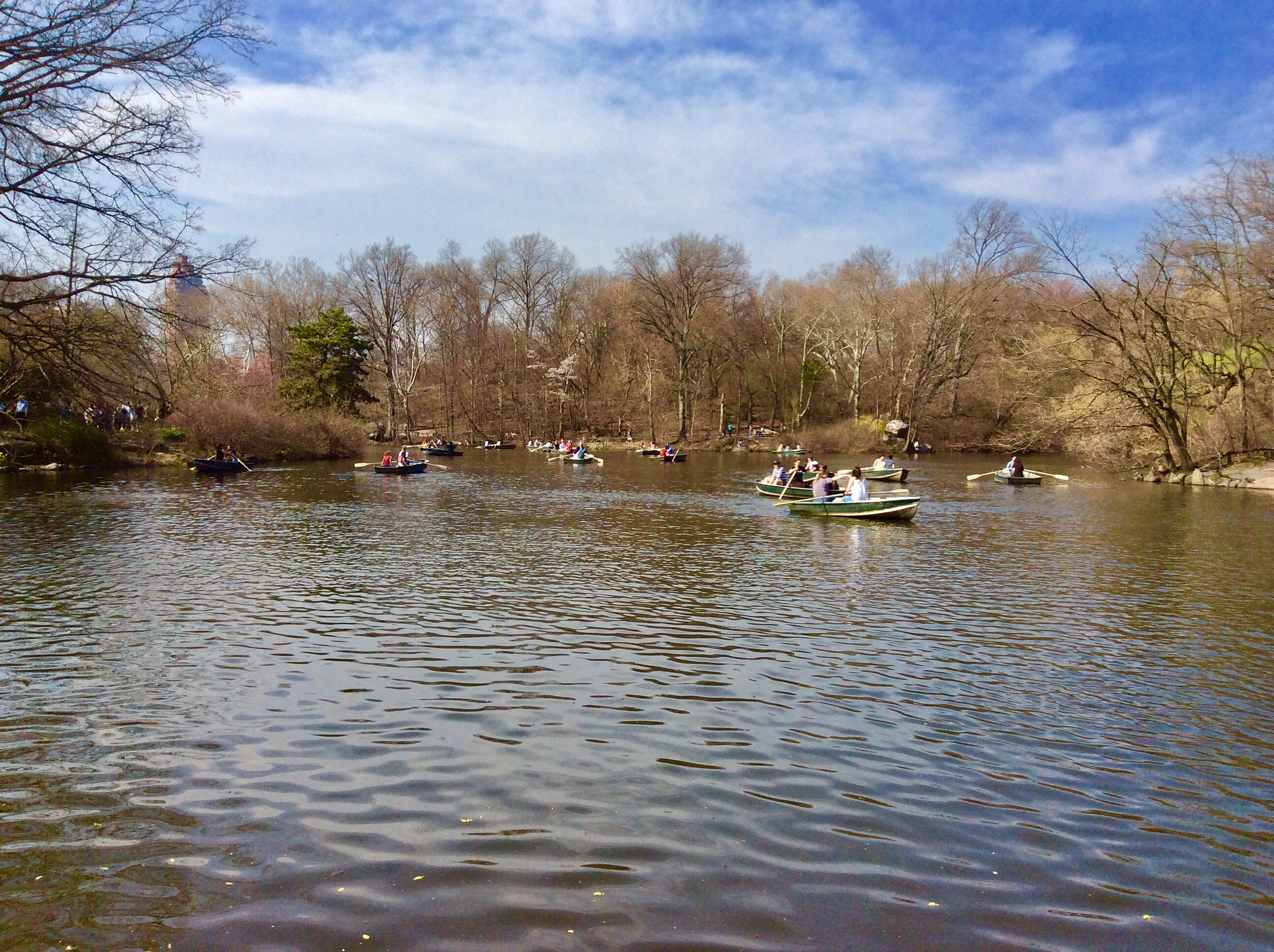 Apple iPad mini 2 sample photo. Rowing in central park photography