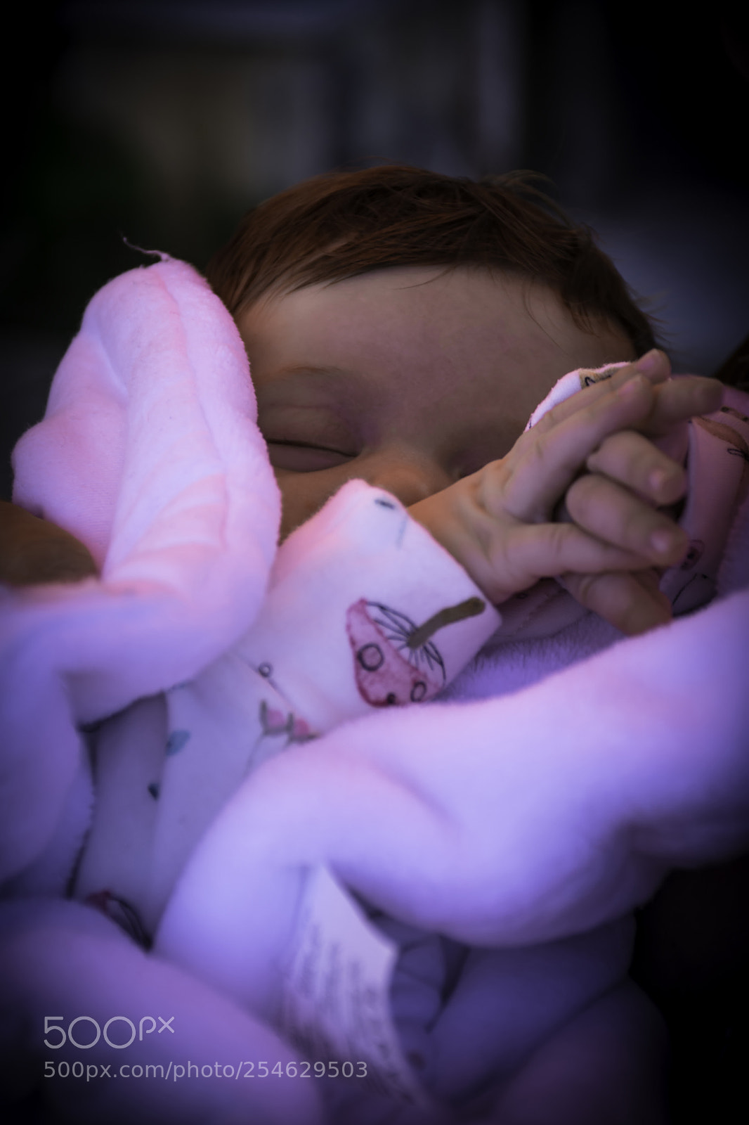 Nikon D7200 sample photo. The sleeping beauty photography