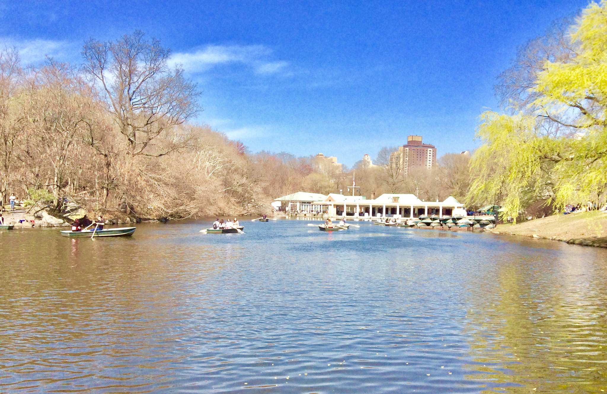 Apple iPad mini 2 sample photo. A lake in central park photography