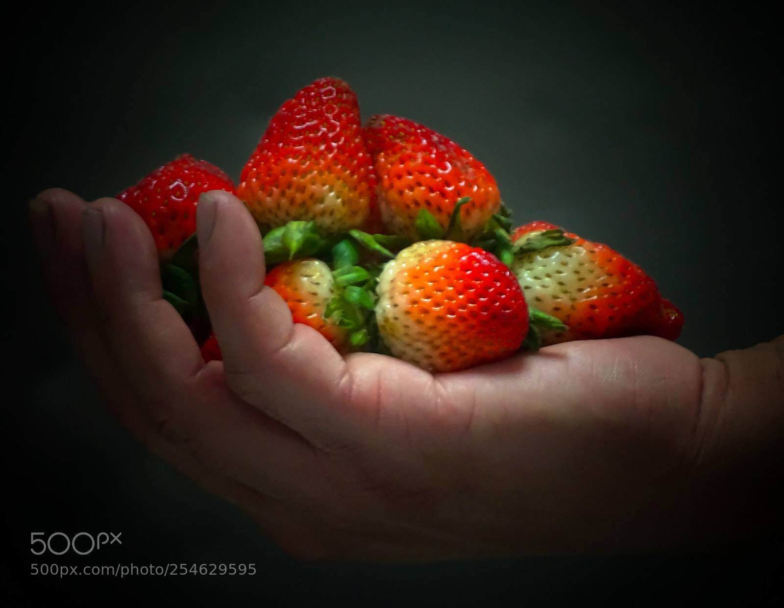 Sony Cyber-shot DSC-HX400V sample photo. Strawberry photography