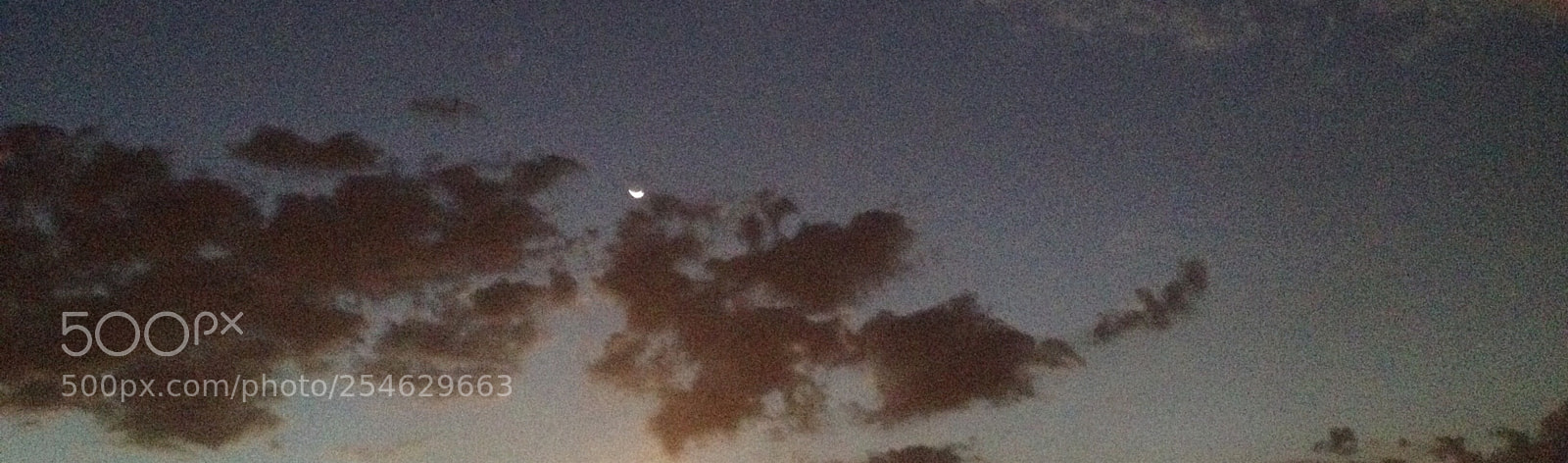 Apple iPhone 4S sample photo. Untitled photography