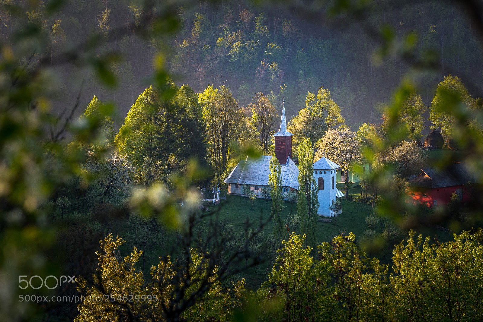 Nikon D610 sample photo. Groape , maramures county . photography