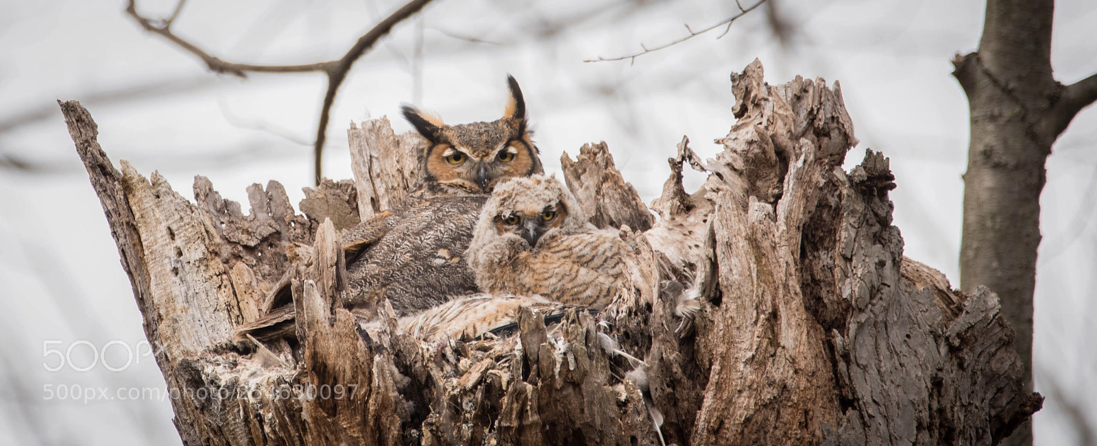 Nikon D810 sample photo. Like dad, like son photography