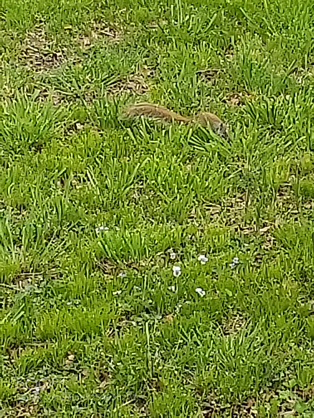 Samsung Galaxy S9 sample photo. Untitled photography