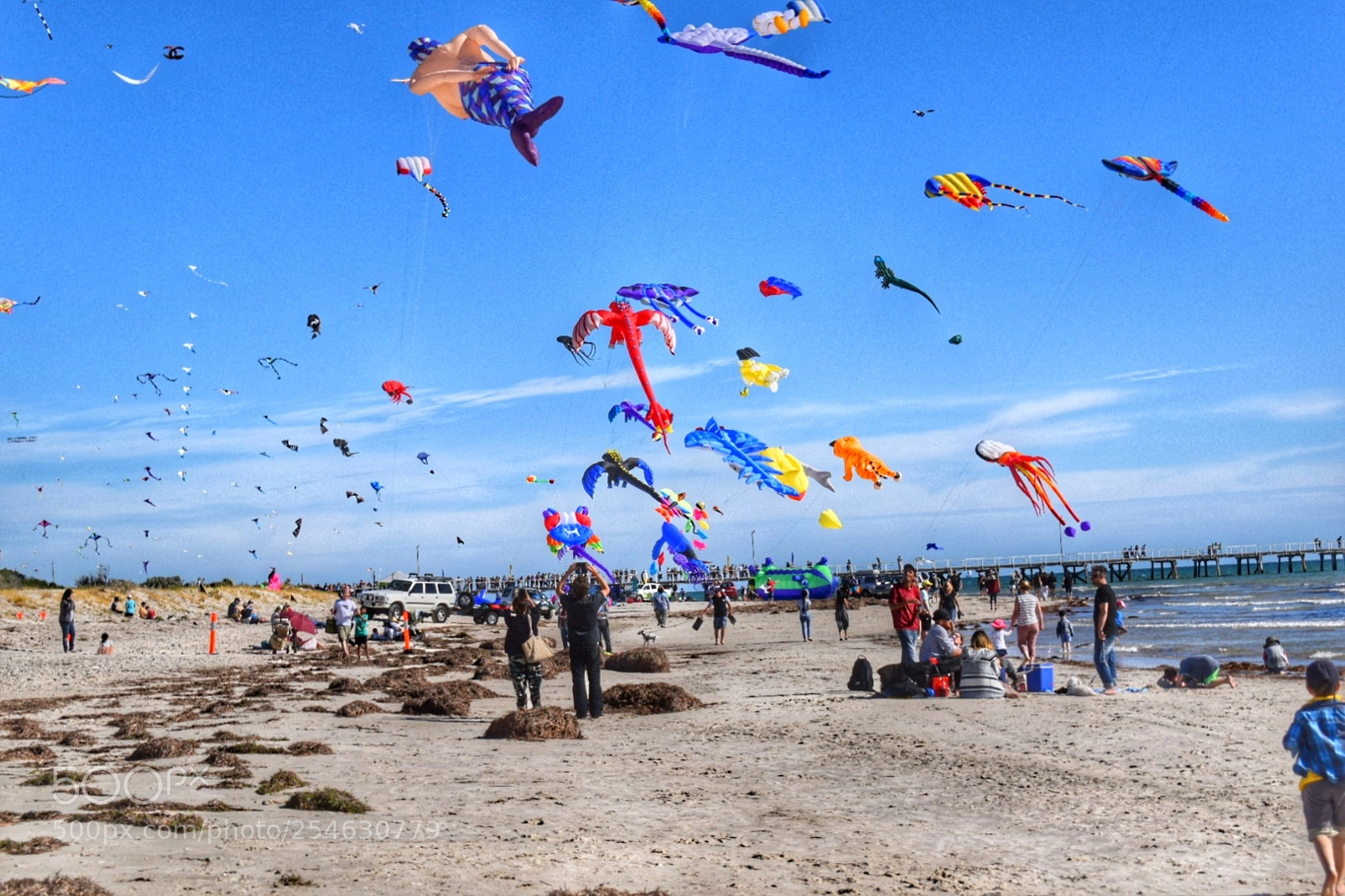 Nikon D5300 sample photo. Kite festival photography