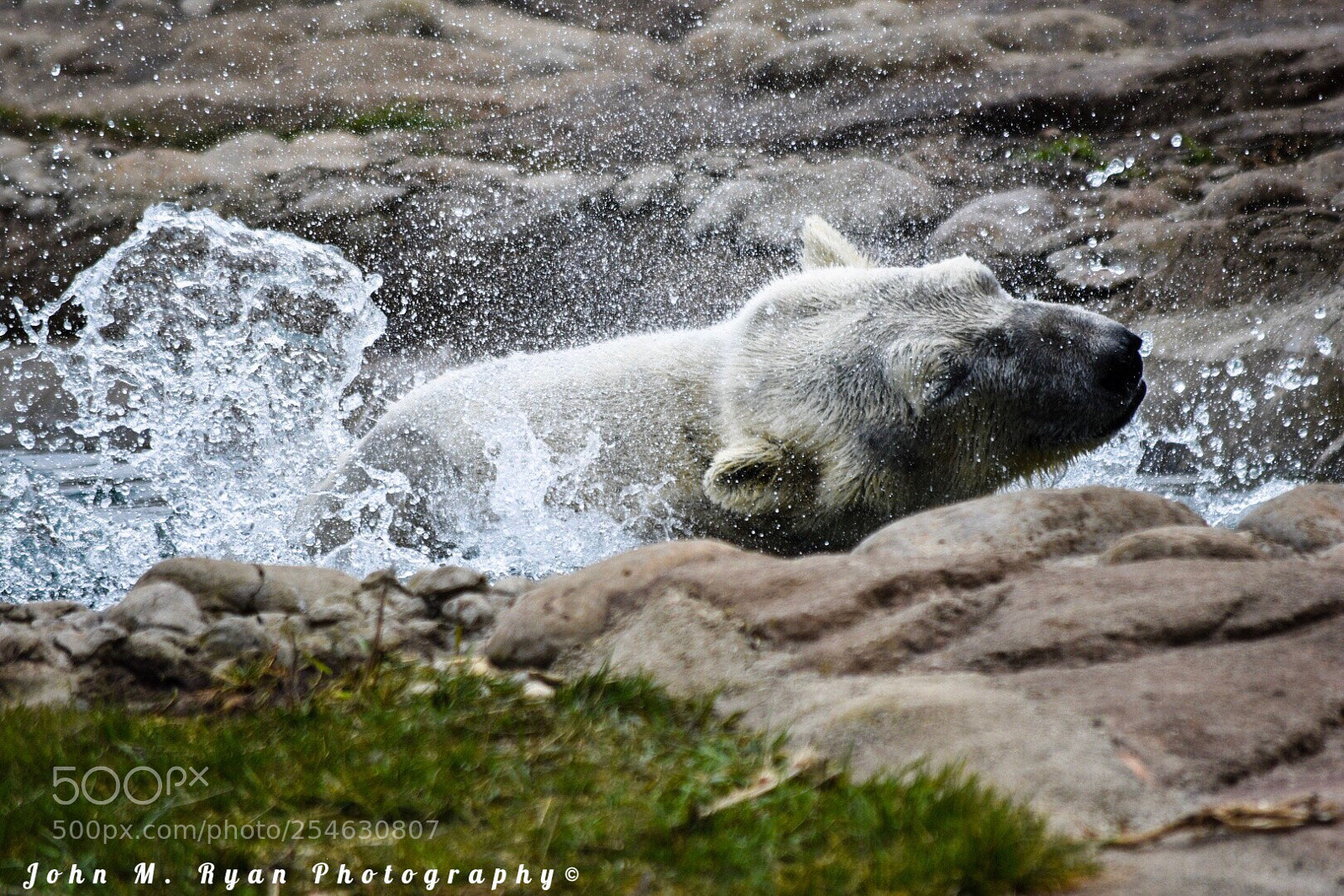 Nikon D3400 sample photo. Untitled photography