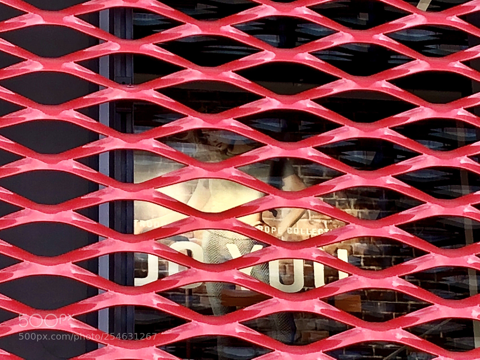 Apple iPhone 8 sample photo. Red mesh photography