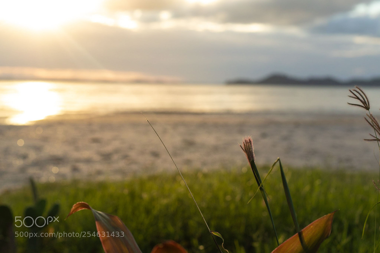 Canon EOS 6D Mark II sample photo. Colorss photography