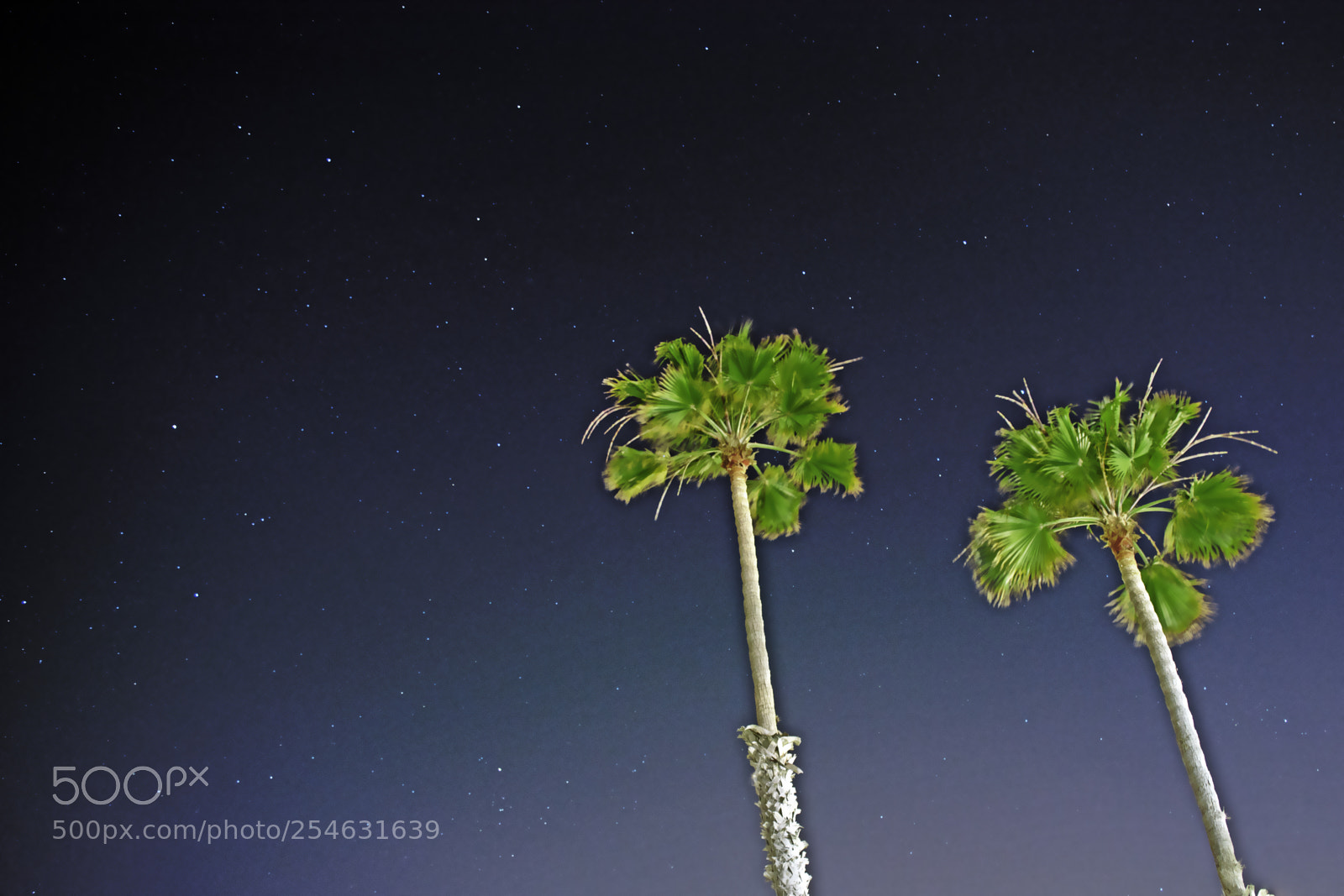 Nikon D7200 sample photo. Beach nights photography