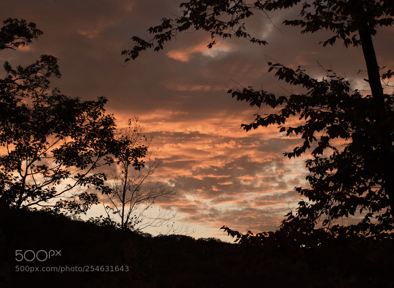 Nikon D5500 sample photo. Quiet sunset photography
