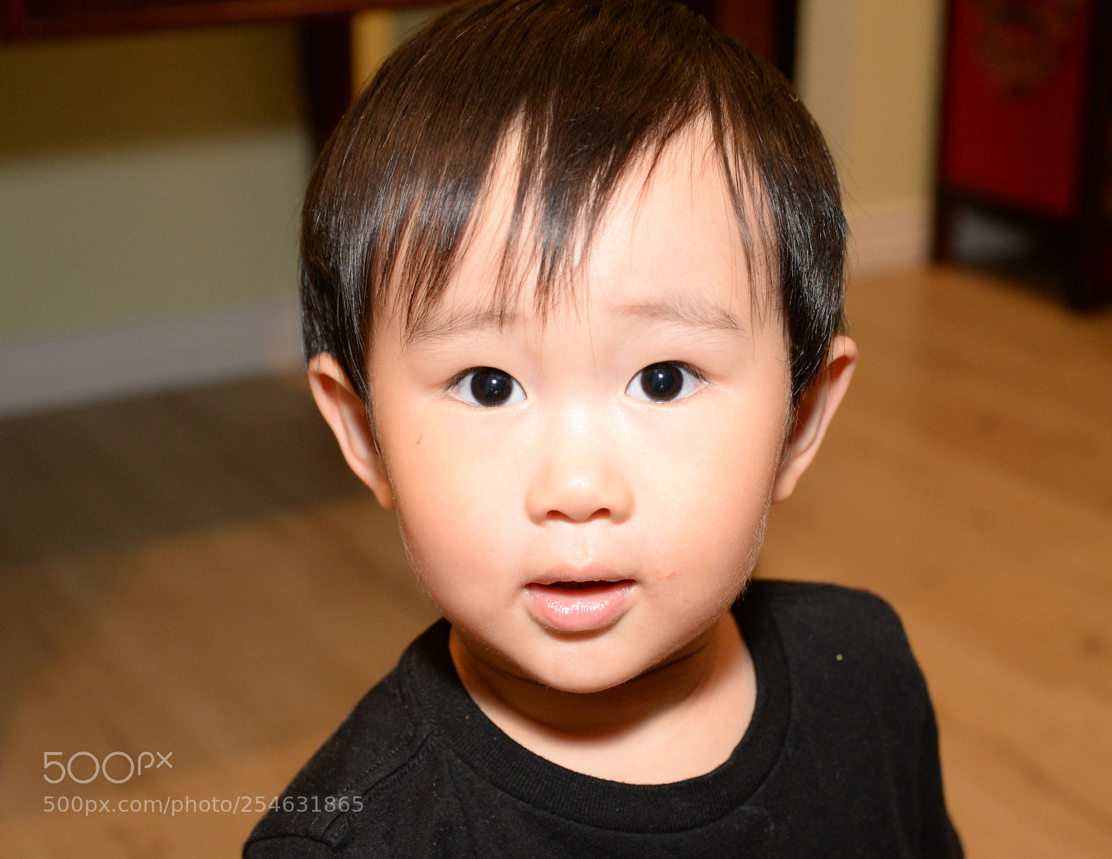 Nikon D610 sample photo. Dsc photography
